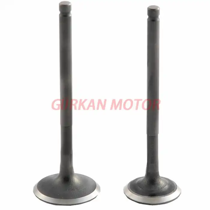 SUBAP TAKIMI [TIRNAKLI] [VTC]100CC CUB