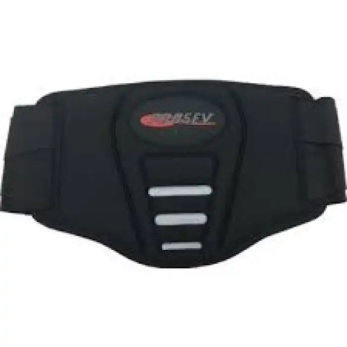 MOTOR BELLİK KORUMA