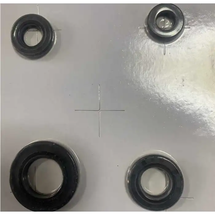 KEÇE TAKIMI [4 LÜ SET] CRYPTON