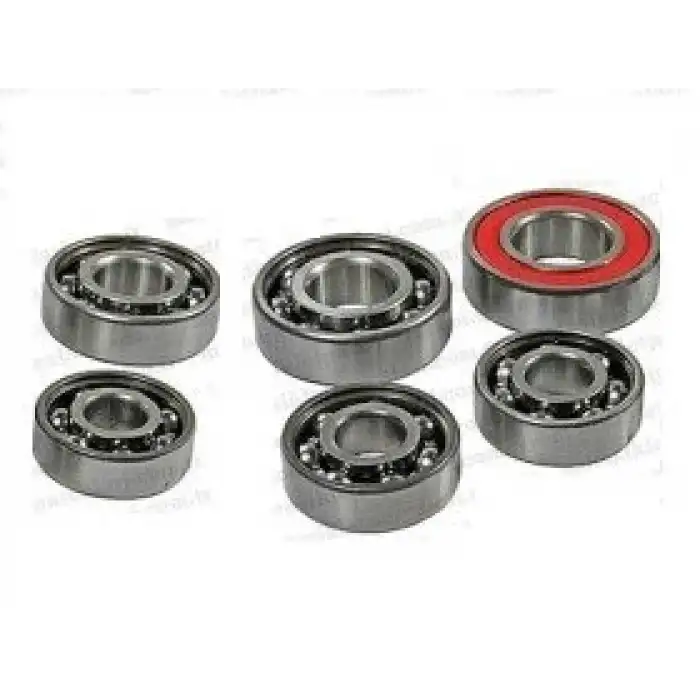 ŞANZUMAN RULMAN SET SPACY - ACTIVA S