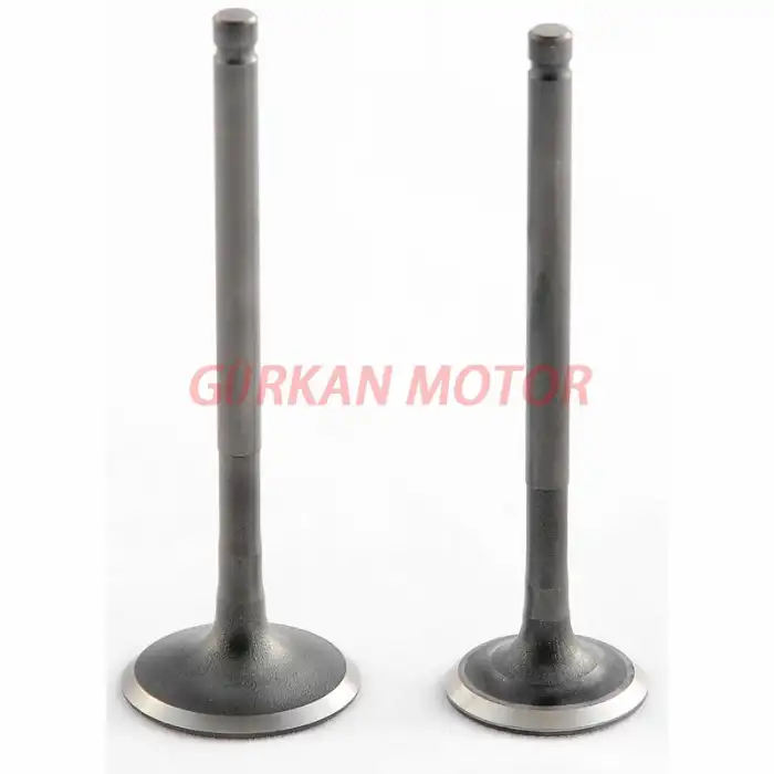 SUBAP TAKIMI [TIRNAKLI] OEM SPACY / SPONTİNİ / ALPHA / ZENZERO