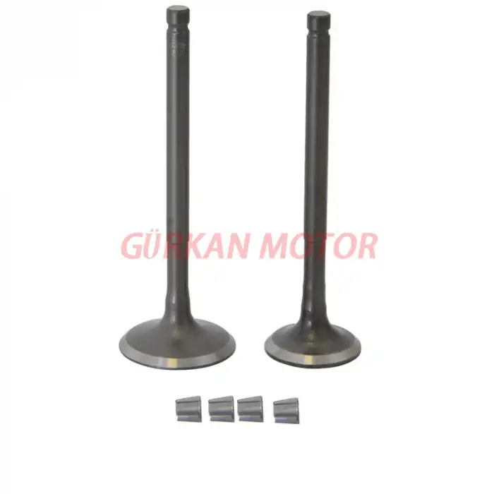 SUBAP TAKIMI [TIRNAKLI] [VTC] SPACY / SPONTINI / ALPHA / ZENZERO/SPONTİNİ125