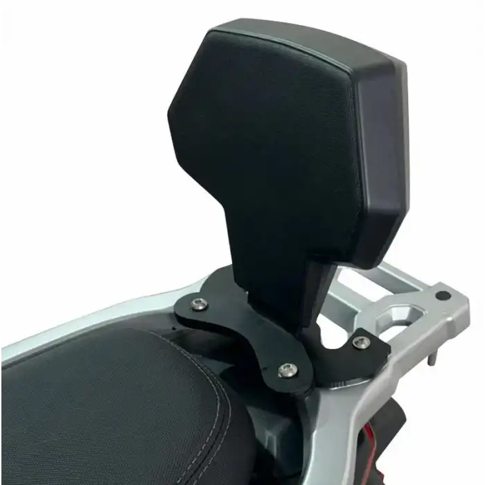 GP KOMPOZİT RKS FRECCİA 150 2022 - 2024 UYUMLU SİSSY BAR SİYAH