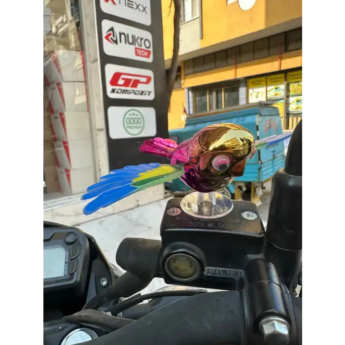 DİREKSİYON KUŞ