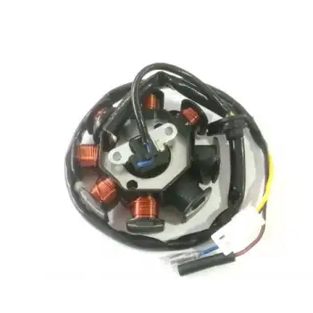 STATÖR SCT 50 cc KALIN SARGI