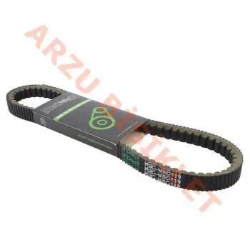 KAYIŞ HONDA DİO [MOTTO]