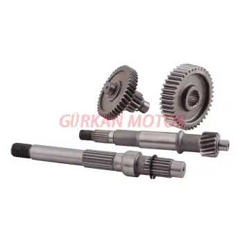 ŞANZIMAN KOMPLE SCOOTER