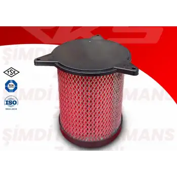 BOSS HAVA FİLTRESİ RKS - R 250