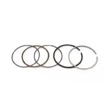 SEGMAN TAKIMI 65,5 MM*0,8