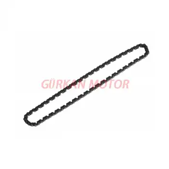 EKSANTRİK ZİNCİRİ [100L] CG - WİNDY - TK03