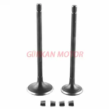 SUBAP TAKIMI [TIRNAKLI]  [VTC]  CG 200