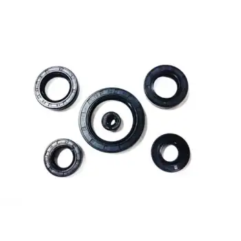 KEÇE TAKIMI PULSAR NS 200