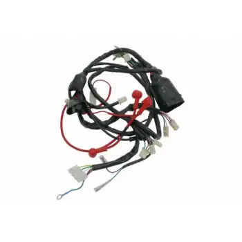 ELEKTRİK TESİSATI REVİVAL 50cc