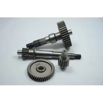 FİZY ŞANZUMAN DİŞLİ SETİ OEM