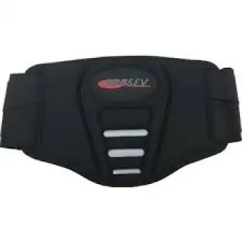 MOTOR BELLİK KORUMA