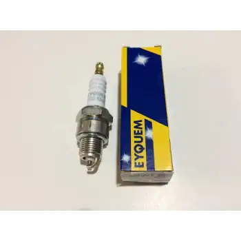 BUJİ EYQUEM (FRANSIZ)  [2 ZAMANLI]  PEJO - MOB