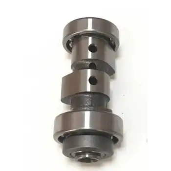 EKSANTRİK MİLİ CRYPTON