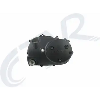 RKS NEWLIGHT 125 PRO KARTEL KAPAĞI SAĞ CTVR