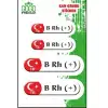 KAN GURUBU BEYAZ DÖRTLÜ ETİKET B RH(+)