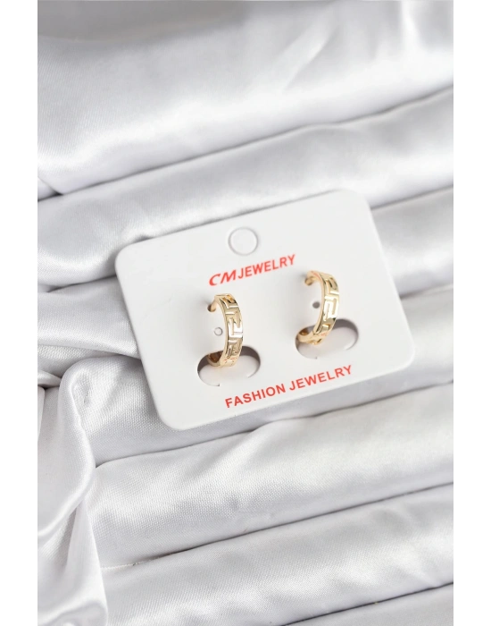 14K Gold Renk Kaplama CM Kadın Küpe