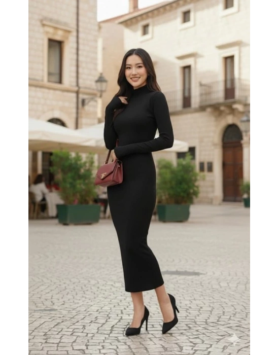 Kadın Uzun Kollu Balıkçı Yaka Midi Boy Elbise