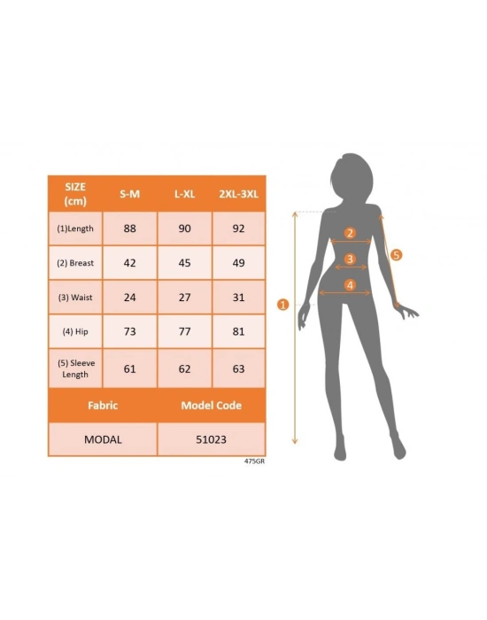 Kadın Uzun Kollu Yarı Balıkçı Yaka Leopar Desenli Modal Mini Elbise
