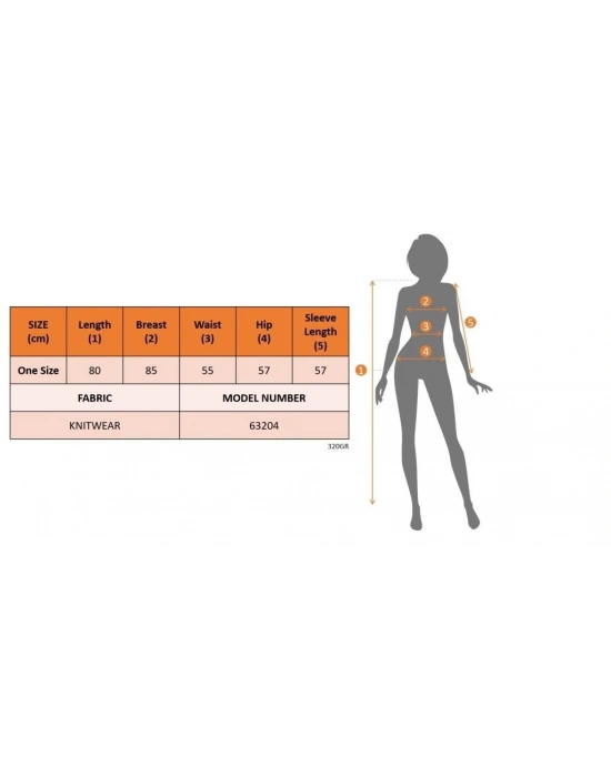 Kadın Uzun Kollu Yuvarlak Yakalı Kısa Triko Elbise