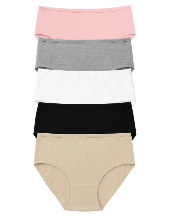 PK40004 BÜYÜK BEDEN YÜKSEK BEL KÜLOT 5 Lİ PAKET