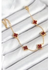 316L Çelik Gold Zincir Baby Boy Bordo Renk Bileklik