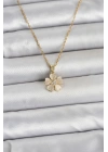 316L Çelik Zincir Gold Renk Yonca Model Kadın Kolye