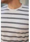 Erkek çizgili Kısa Kollu T-shirt