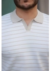 Erkek Kısa Kollu çizgi Desenli örme Kumaş Tshirt