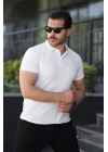 Erkek Kısa Kollu Yakalı Tişört