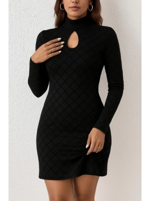 Kadın Uzun Kollu Damla Detay Flok Baskı Dalgıç Mini Elbise