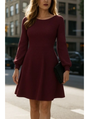 Kadın Uzun Kollu Kayık Yaka Kısa Triko Elbise