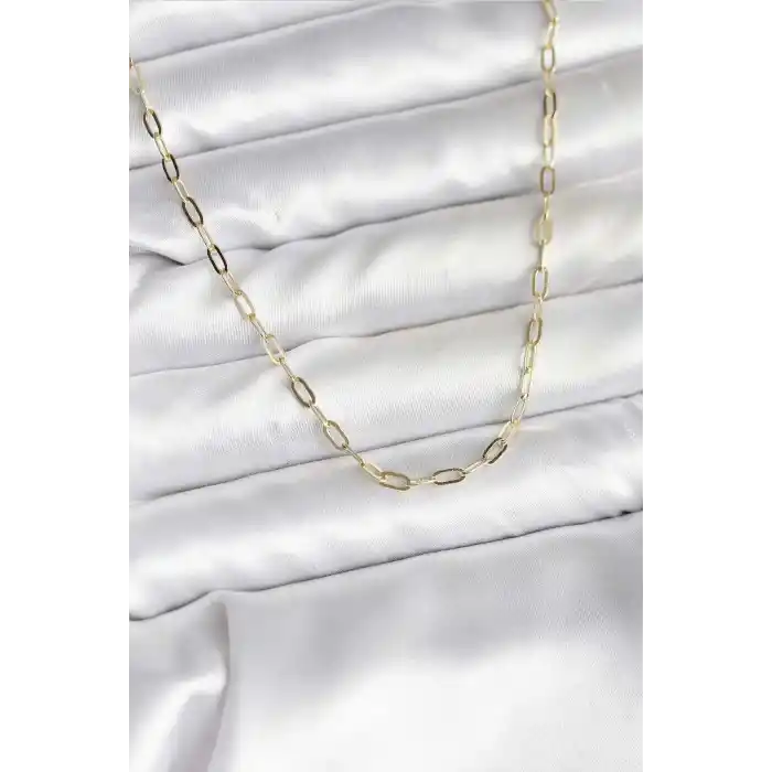 14K Gold Renk Kaplama Ataç Zincir Model CM Kadın Kolye