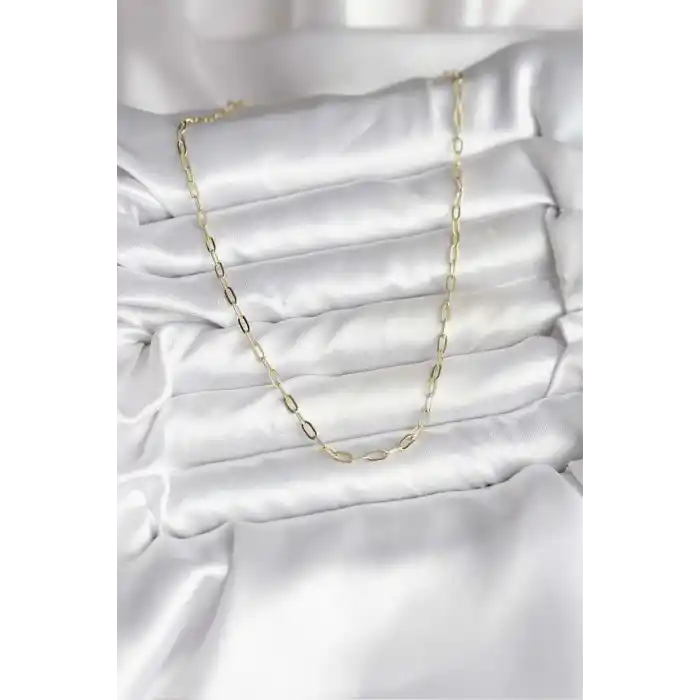 14K Gold Renk Kaplama Ataç Zincir Model CM Kadın Kolye