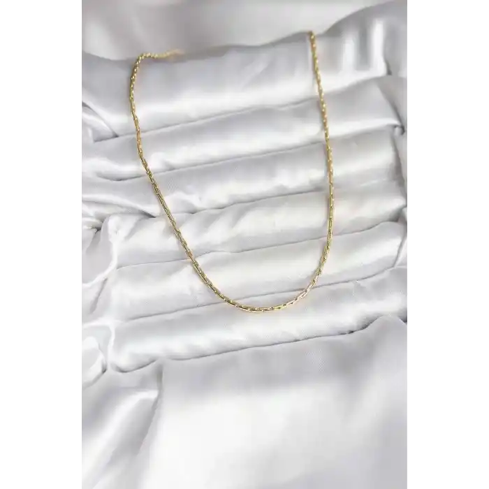 14K Gold Renk Kaplama İnce Zincir Model CM Kadın Kolye