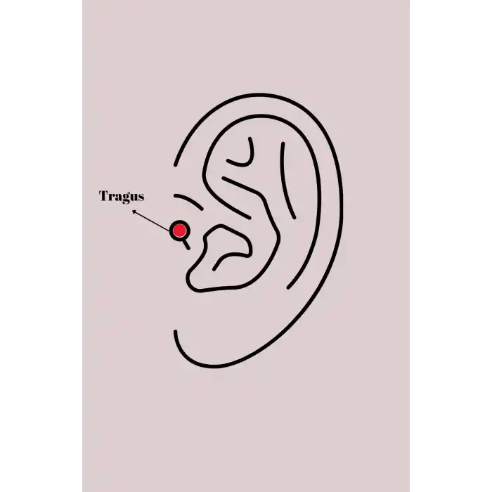 316L Çelik Gümüş Renk Mavi Zirkon Taşlı Tragus Piercing