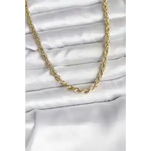 14K Gold Renk Kaplama Burgu Model CM Kadın Kolye