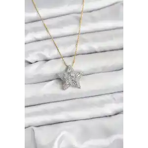 316L Çelik Zincir Gold Renk Zincirli Gümüş Yıldız Model Kadın Kolye