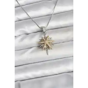 316L Çelik Zincir Gümüş Renk Kutup Yıldızı Model Kadın Kolye