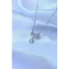 316L Çelik Zincirli Gümüş Renk Zirkon Taşlı Damla Detay Fiyonk Model Kolye