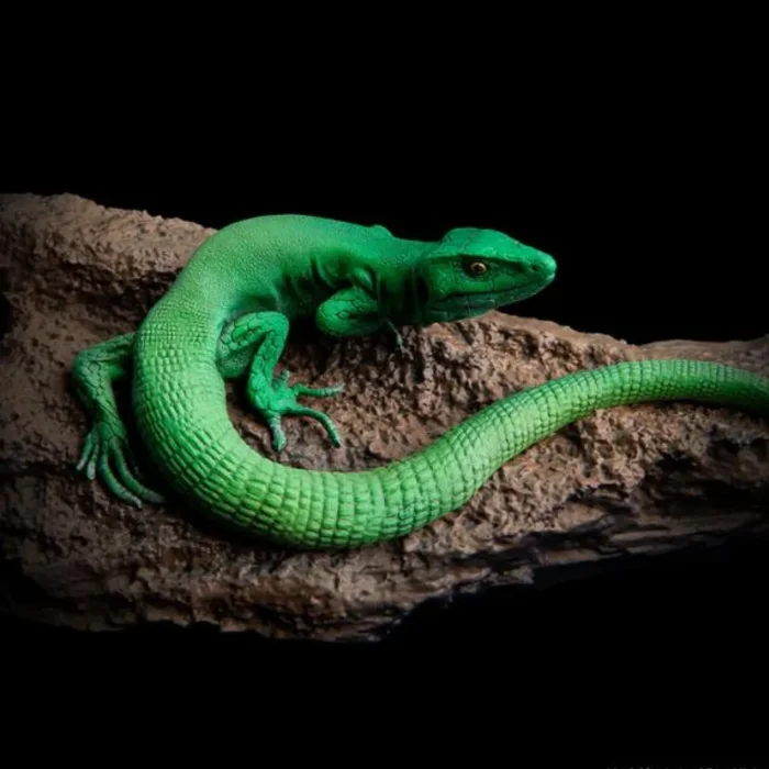 ELEGOO Mars 4 Ultra 9K 3D Yazıcı