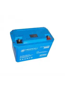 Lityum Akü 12.8V 100Ah 1.28Kwh LiFePo4 Lityum Batarya