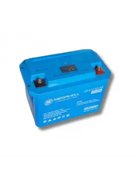 Lityum Akü 25.6V 50Ah 1.28Kwh LiFePo4 Batarya Akü