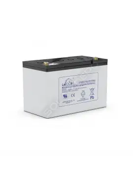 Leoch Jel Akü 100Ah 12V İthal Derin Döngü