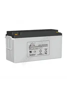 Leoch Jel Akü 150Ah 12V İthal Derin Döngü