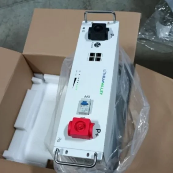 Pantec 51.2V 100Ah - 5.2 kWh LiFePO4 Kaset Tipi Lityum Akü