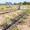 Pantec 24 Volt 210 Watt DC Solar Dalgıç Pompa - Max.80 Metre - Max.1.8 Ton Su